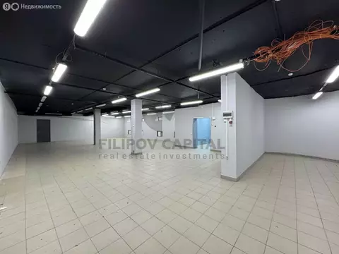 Помещение свободного назначения (300 м)