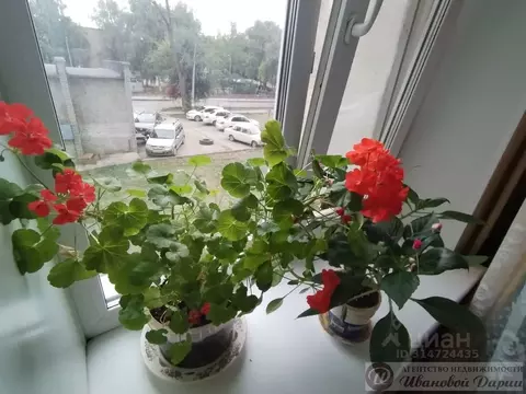 Комната Самарская область, Самара ул. Строителей, 36 (12.0 м)