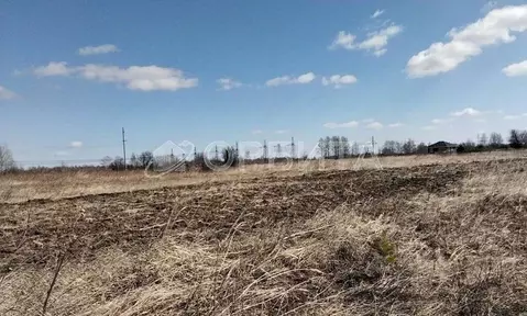 Участок в Тюменская область, Тюменский муниципальный округ, с. Борки  ...