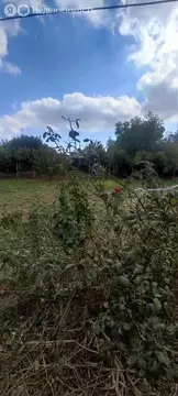 Дом в Ленинский район, село Приозёрное (55.8 м)