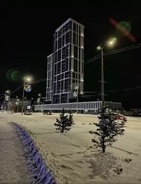 Помещение свободного назначения в Челябинская область, Челябинск ул. ...