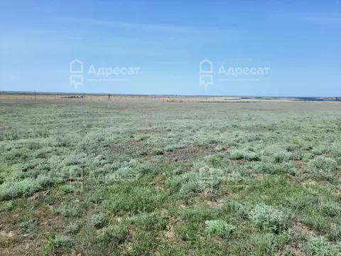 Участок в Волгоградская область, Волгоград ул. Словацкая (6.27 сот.)