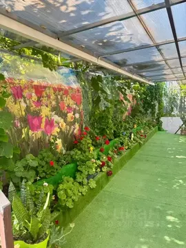 Комната Краснодарский край, Туапсинский муниципальный округ, с. ...