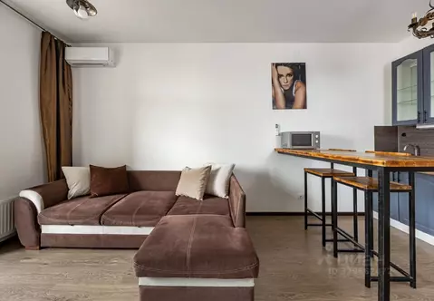 Студия Санкт-Петербург ул. Летчика Лихолетова, 14к2 (24.5 м)