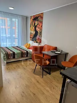 Студия Санкт-Петербург пос. Парголово, проезд Толубеевский, 8к2 (22.1 ...