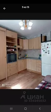 Студия Санкт-Петербург Большеохтинский просп., 22к2 (22.0 м)