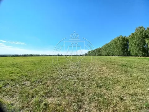 Участок в Татарстан, Зеленодольский район, с. Большие Ключи  (1800.0 ...