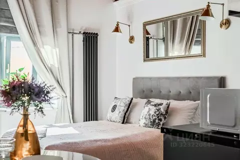 1-к кв. Санкт-Петербург Большая Конюшенная ул., 1 (17.0 м)