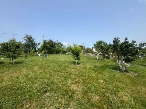 Участок в Краснодарский край, Анапа муниципальный округ, с. Юровка ул. ...