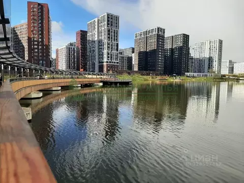 Студия Москва просп. Прокшинский, 12 (22.4 м)