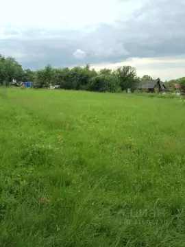 Участок в Владимирская область, Владимир с. Кусуново, ул. Центральная ...