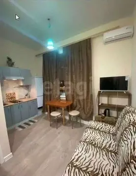 Студия Москва ул. 2-я Энтузиастов, 5к39 (16.0 м)