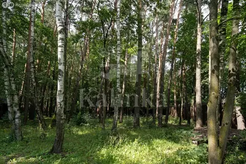 Участок в Одинцовский городской округ (24 м)