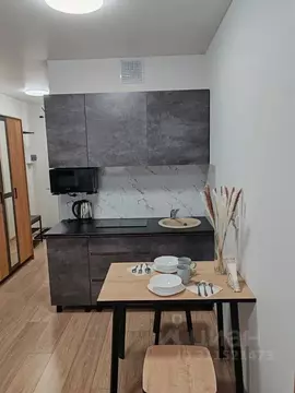 Студия Свердловская область, Екатеринбург ул. Новостроя, 7 (26.0 м)