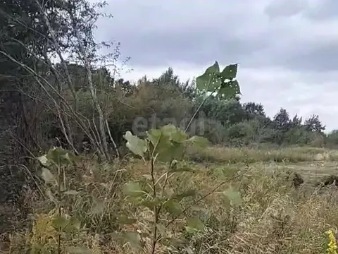 Участок в Калининградская область, Гурьевский муниципальный округ, ...