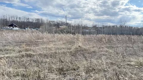 Участок в Амурская область, Благовещенский район, с. Кантон-Коммуна ...