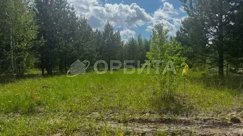 Участок в Тюменская область, Тюменский муниципальный округ, ...