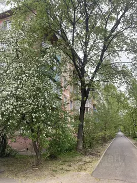 2-к кв. Московская область, Электросталь ул. Пушкина, 25 (43.0 м)