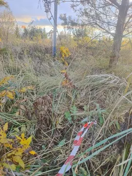 Участок, 12 сот., поселения (ижс)