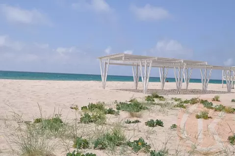 Участок в Крым, Черноморский район, Окуневское с/пос, с. Знаменское  ...