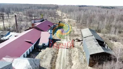 Производственное помещение в Владимирская область, Вязниковский район, ...