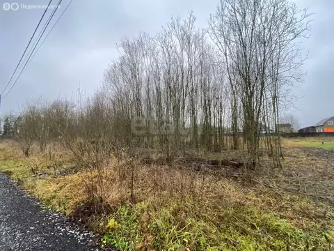 Участок в Ропшинское сельское поселение, СНТ Синигейка, Цветочная ...