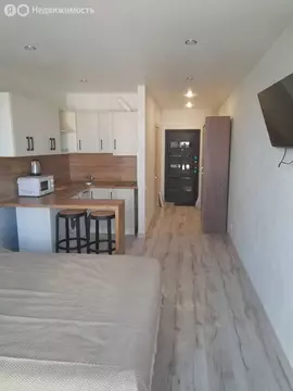 Квартира-студия: Сочи, микрорайон Бытха, Ясногорская улица, 16/6к5 (24 ...