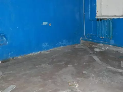 Помещение свободного назначения в Брянская область, Брянск Кромская ...