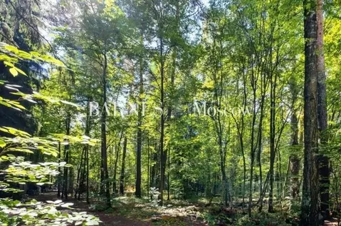 Участок в Московская область, Одинцово Сельскохозяйственный ДСК, пер. ...