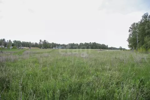 Участок в Алтайский край, Первомайский район, с. Фирсово ул. Кедровая ...