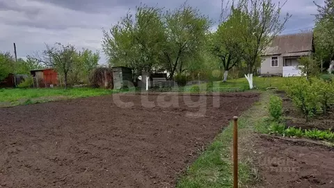 Дом в Курская область, Курский район, Щетинский сельсовет, Тускарь СНТ ...