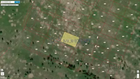 Участок в Нижегородская область, Богородский муниципальный округ, с. ...