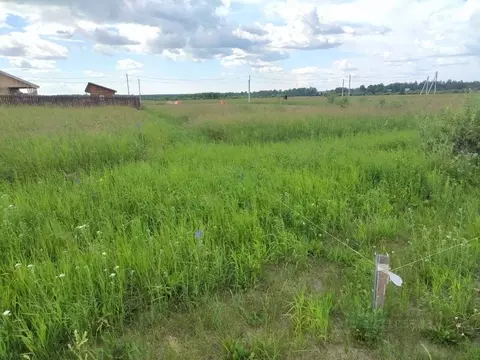 Участок в Тюменская область, Тюменский муниципальный округ, д. Речкина ...