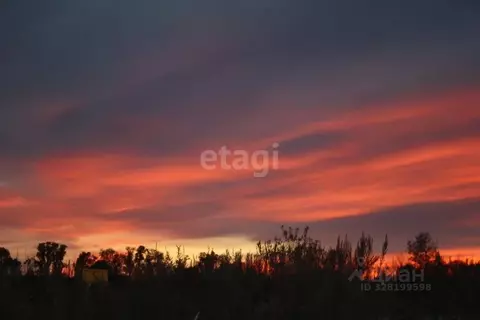 Участок в Амурская область, Благовещенский район, с. Игнатьево  (132.1 ...