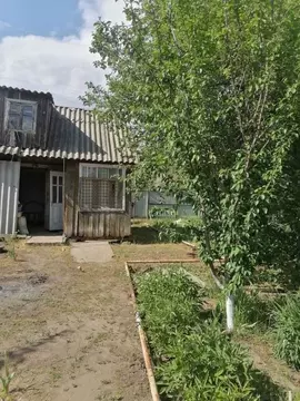 Участок в Ростовская область, Белая Калитва БКМПО-1 садоводческое ...