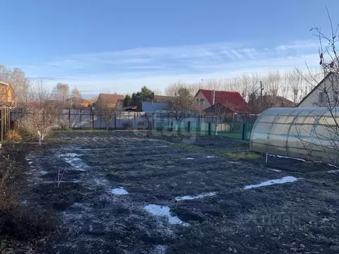 Участок в Тюменская область, Тюмень Васильковая ул., 1 (5.0 сот.)