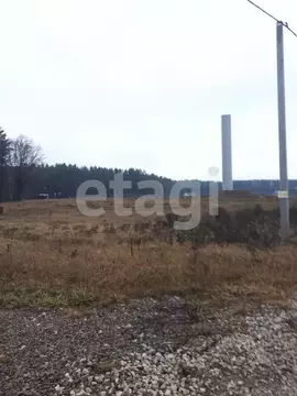 Участок в Брянская область, Брянский район, Новодарковичское с/пос, д. ...