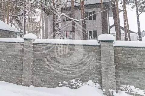 Дом в Алтайский край, Барнаул туп. 1-й Вешний, 28 (551 м)