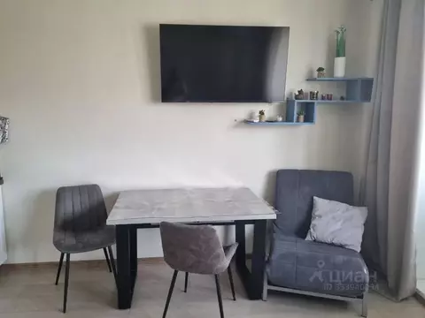 Студия Москва ул. Харлампиева, 52к1 (30.0 м)