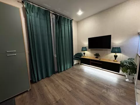 Студия Санкт-Петербург пос. Шушары, просп. Старорусский, 3к2 (25.0 м)