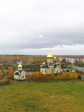 1-к кв. Ленинградская область, Кириши ул. Строителей, 46 (45.0 м)