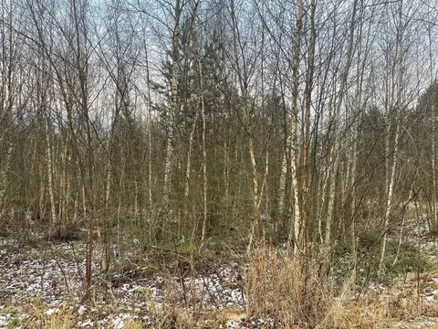 Участок в Московская область, Павлово-Посадский городской округ, д. ...