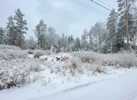 Участок в Ленинградская область, Всеволожский район, Токсовское ...