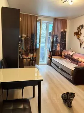 Студия Санкт-Петербург Парашютная ул., 42к2 (25.0 м)