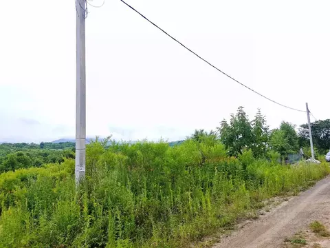 Участок в Приморский край, Артем Березка-3 СТ, 49 (10.0 сот.)