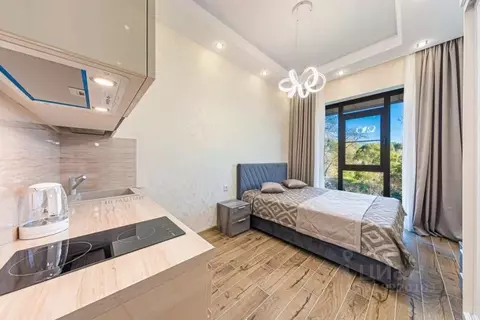 1-к кв. Краснодарский край, Сочи Светлана мкр, ул. Депутатская, 10Б/1 ...