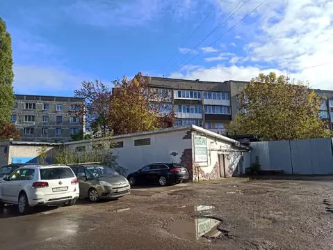 Торговая площадь в Калининградская область, Калининград Нарвская ул., ...