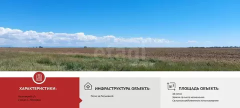 Участок в Крым, Сакский район, с. Лесновка  (38000.0 сот.)