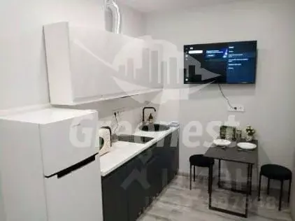 Студия Иркутская область, Иркутск ул. Рылеева, 3 (26.1 м)