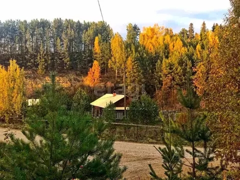 Дом в Пермский край, Суксунский муниципальный округ, д. Пепелыши  (80 ...